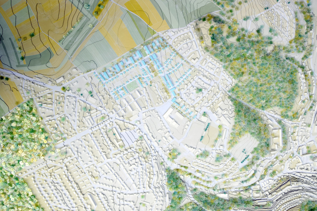 Un front de campagne