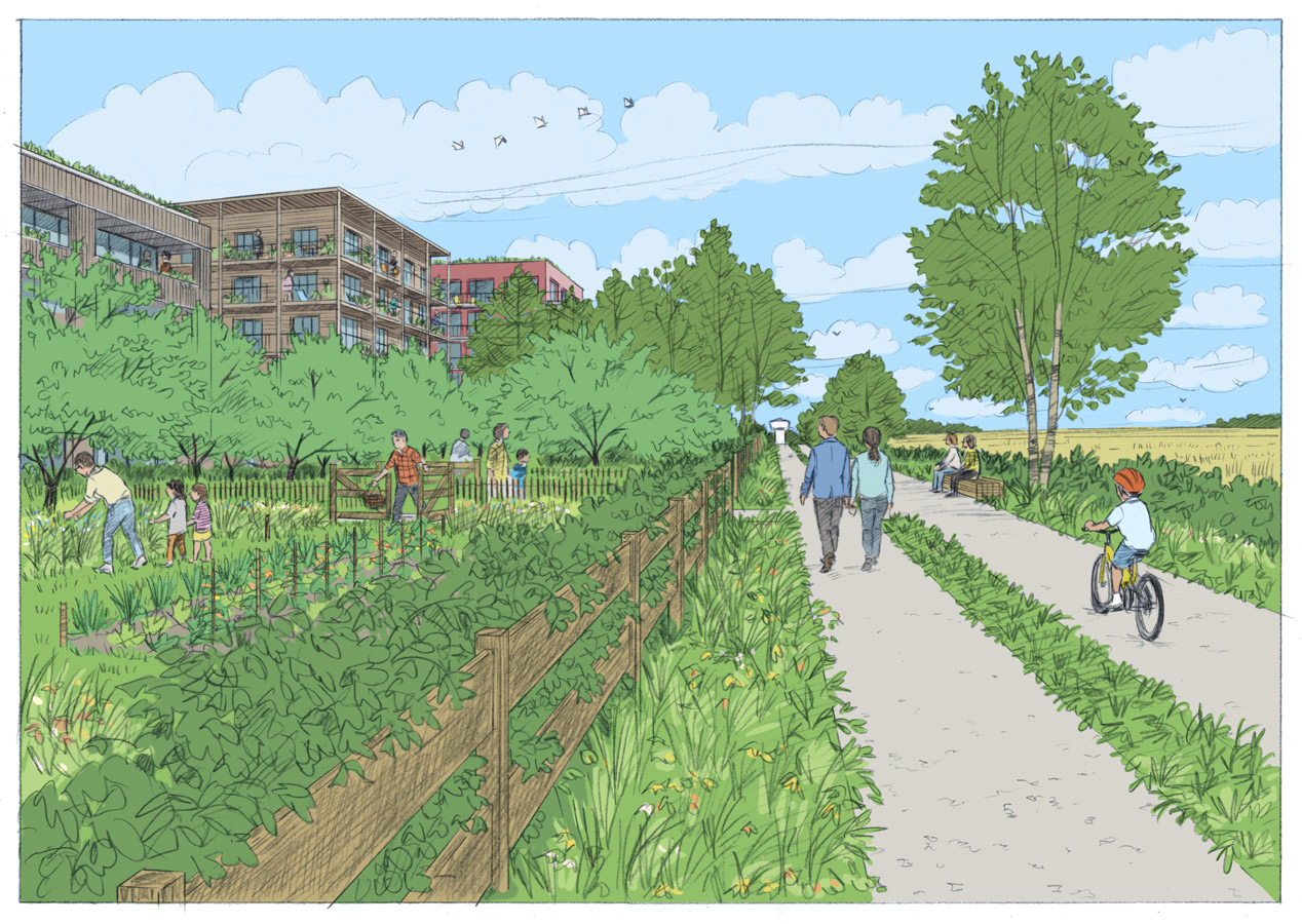 Un front de campagne